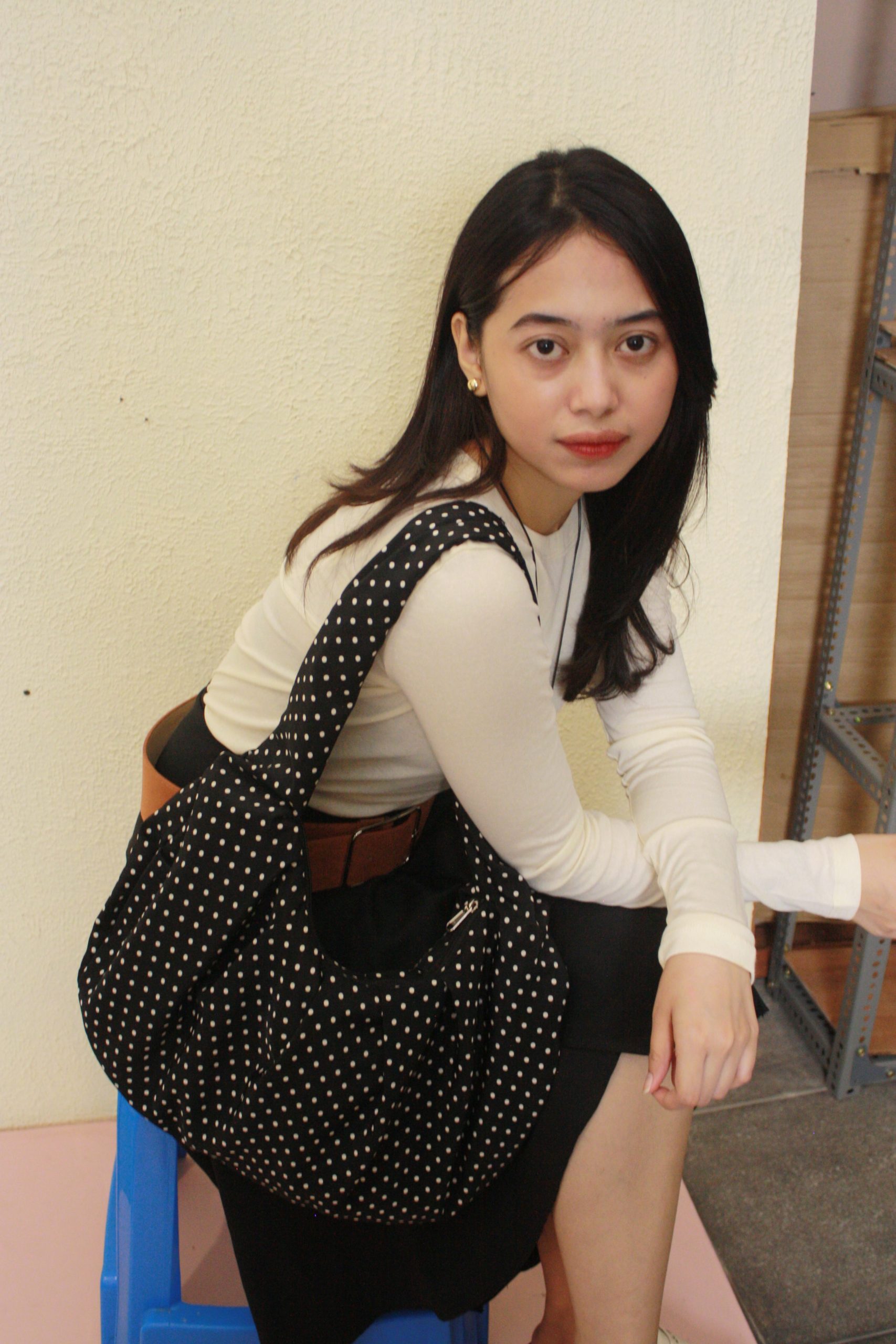POPPIE CROISSANT BAG.jpg blank